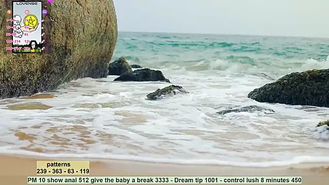 Snapshot of _sex_in_paradise_ chatting on 19, 12, 2024 sex in paradise online show from 19, 12, 2024