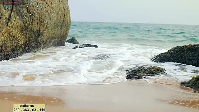 Snapshot of _sex_in_paradise_ chatting on 14, 1, 2025 sex in paradise online show from 14, 1, 2025