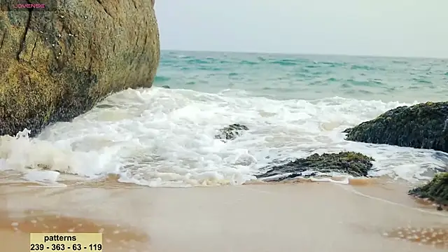 Snapshot of _sex_in_paradise_ chatting on 16, 1, 2025 sex in paradise online show from 16, 1, 2025