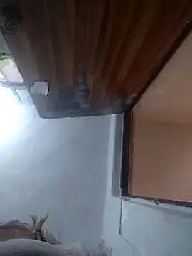 iDogrose21 online show from 15, 12, 2025