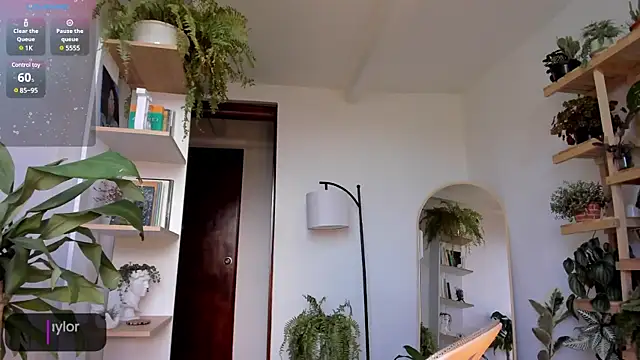 Snapshot of Johaphyton chatting on 18, 1, 2025 Johaphyton online show from 18, 1, 2025