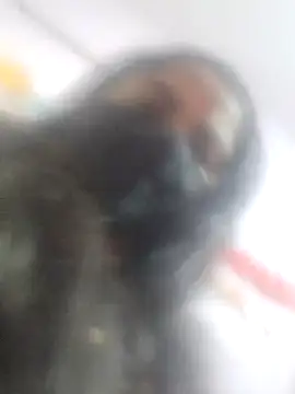 Snapshot of sana14 chatting on 27, 2, 2025 sana14 online show from 27, 2, 2025