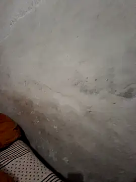 menakshiiikaur online show from 19, 12, 2024