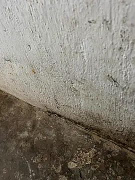 Snapshot of tamil000000 chatting on 3, 11, 2025 tamil000000 online show from 3, 11, 2025