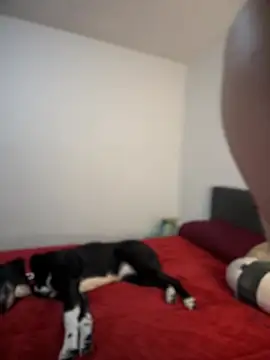 ariiel  online show from 3, 2, 2025