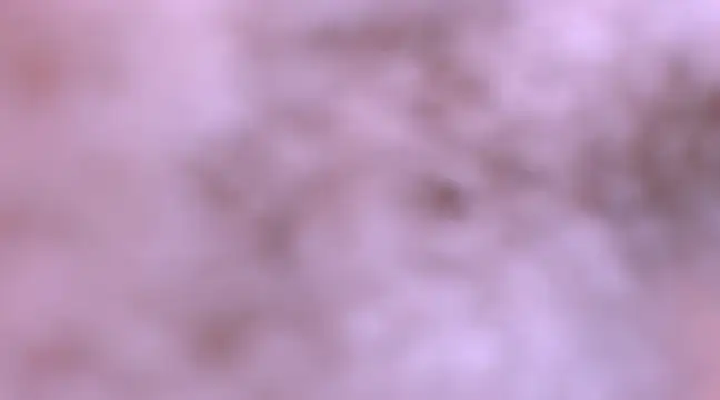 bubble red online show from 8, 2, 2025