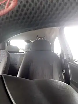 Gordinho quietinho online show from 23, 1, 2025