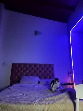 soygalaof online show from 11, 1, 2026