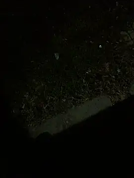 Nicusorescu26 online show from 14, 10, 2025