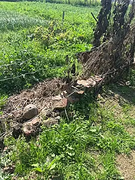 poision51 online show from 23, 2, 2025