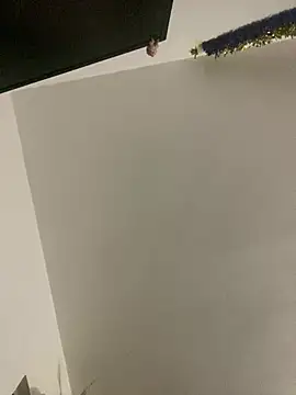 RicarBer online show from 26, 4, 2026