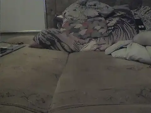 Snapshot of Adi1985gda chatting on 13, 11, 2025 Adi1985gda online show from 13, 11, 2025