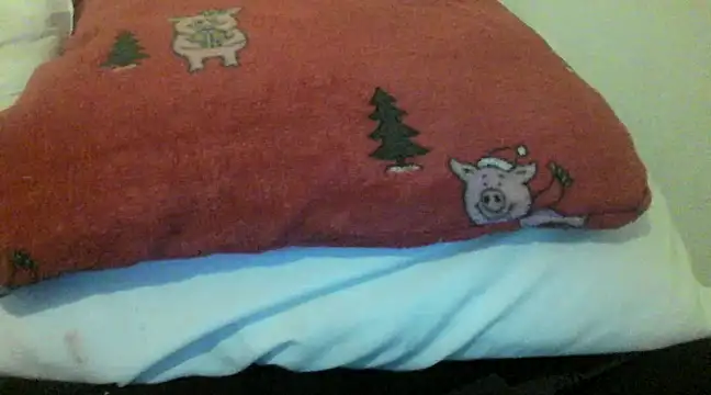 Snapshot of bunnyamy chatting on 5, 12, 2024 bunnyamy online show from 5, 12, 2024