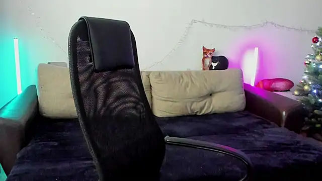 Ostin meow online show from 19, 12, 2025