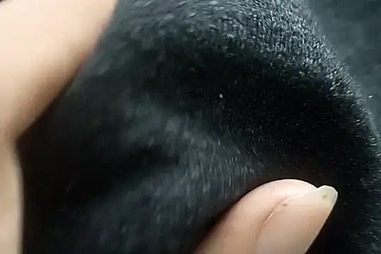 Telugu sollakaya online show from 2, 12, 2024