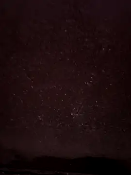 faaseel online show from 14, 2, 2025