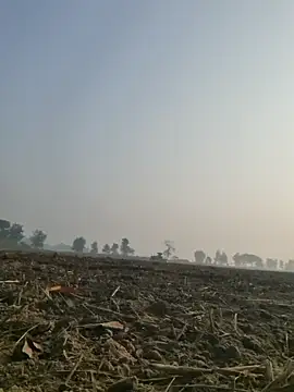 Snapshot of imissyoumylove14 chatting on 10, 12, 2024 imissyoumylove14 online show from 10, 12, 2024