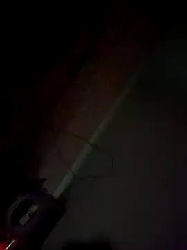 Snapshot of imissyoumylove14 chatting on 21, 1, 2025 imissyoumylove14 online show from 21, 1, 2025