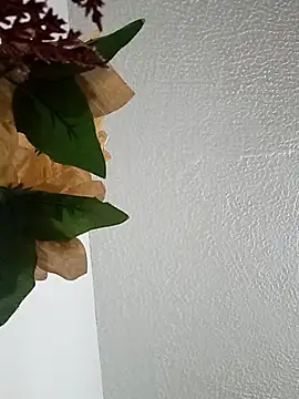 Naomy veracruz  online show from 24, 2, 2026