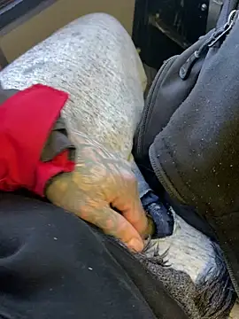 Snapshot of Fuckboy4public chatting on 29, 12, 2024 Fuckboy4public online show from 29, 12, 2024