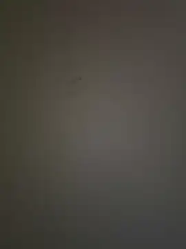 Snapshot of krishking1117 chatting on 17, 12, 2024 krishking1117 online show from 17, 12, 2024