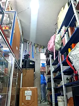 nidia2026 online show from 5, 12, 2025