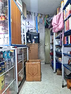 nidia2026 online show from 14, 2, 2026