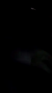 Snapshot of Eva_Florence chatting on 19, 2, 2025 Eva Florence online show from 19, 2, 2025