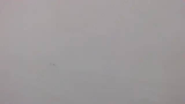 danilo302209 online show from 27, 1, 2025