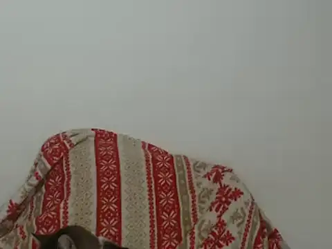 Snapshot of Hannabeckboobs chatting on 12, 1, 2025 Hannabeckboobs online show from 12, 1, 2025