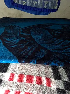 manuamador online show from 13, 11, 2025