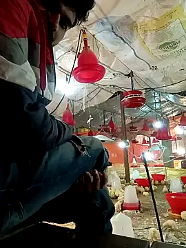 Roni1028 online show from 31, 12, 2024