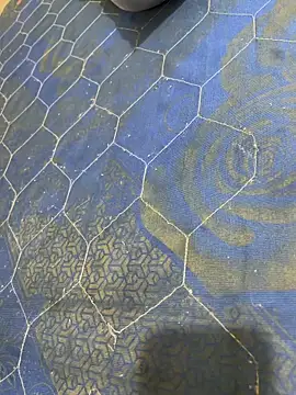 Snapshot of United3 chatting on 2, 11, 2025 United3 online show from 2, 11, 2025