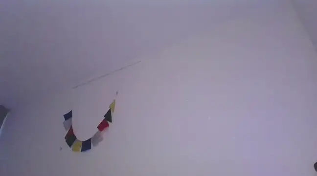 Jorge34410 online show from 8, 12, 2024