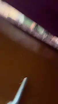 nick  yy online show from 19, 2, 2026