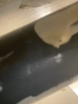 Mme Milahotspicy online show from 19, 10, 2025