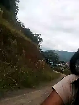 Danna-linyi online show from 26, 1, 2025