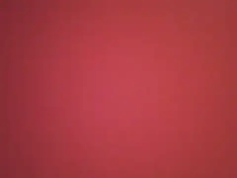  revianzip1 online show from 25, 12, 2024