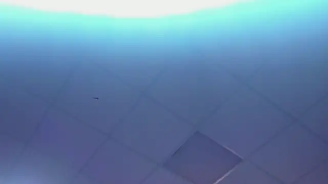 Lexy-Woorhez online show from 28, 2, 2025