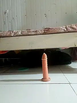 frotasso online show from 15, 2, 2026