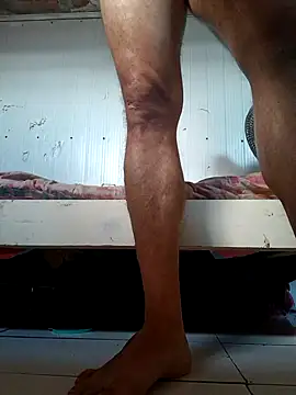 frotasso online show from 17, 2, 2026