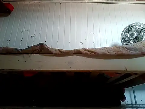 frotasso online show from 20, 2, 2026