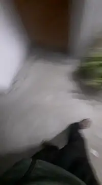 Ritikdesi online show from 25, 2, 2025