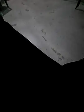 Ritikdesi online show from 3, 3, 2025