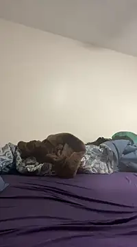 Snapshot of daddymaniaco69 chatting on 28, 12, 2024 daddymaniaco69 online show from 28, 12, 2024