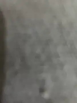 Gordelicia03 online show from 5, 3, 2026