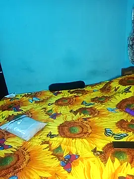 bhavanitelu online show from 29, 11, 2025