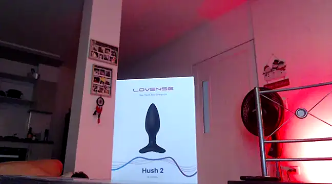 Snapshot of GamerQuinn chatting on 18, 12, 2024 GamerQuinn online show from 18, 12, 2024