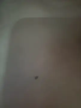 Snapshot of Akhi_Akshaya chatting on 6, 1, 2025 Akhi Akshaya online show from 6, 1, 2025