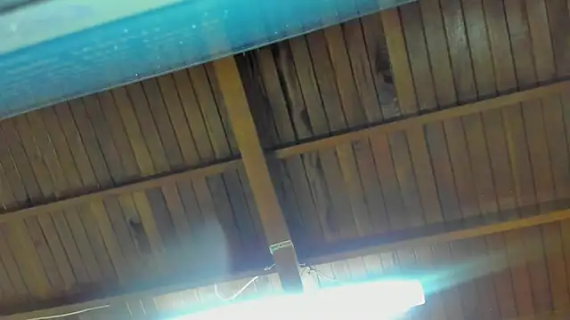 jeicob gagnon online show from 15, 9, 2025